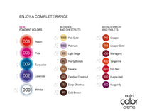 Revlon Professional Nutri Color Crème Fondant Colors 100ml
