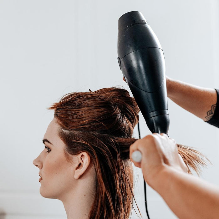 Wahl Style Collection Dryer
