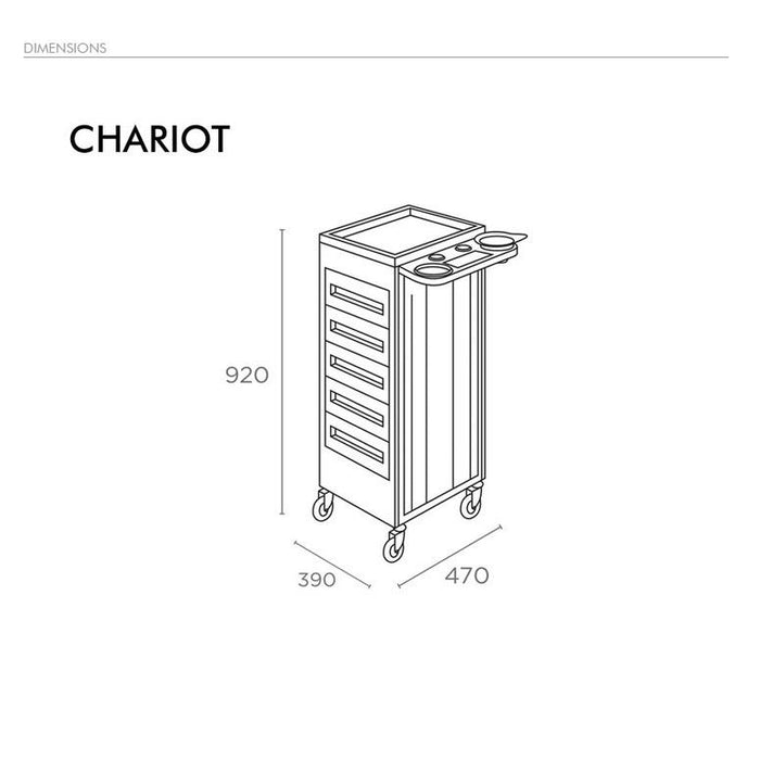 Salon Supplies Chariot Trolley - Express Delivery