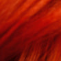 Indola Colorblaster Pigmented Conditioners 300ml