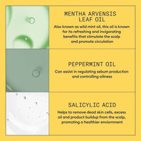 Nioxin System 1 Scalp + Hair Shampoo 1000ml