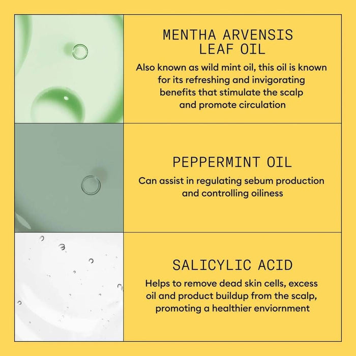 Nioxin System 1 Scalp + Hair Shampoo 1000ml