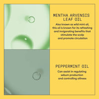 Nioxin System 1 Scalp + Hair Conditioner 1000ml