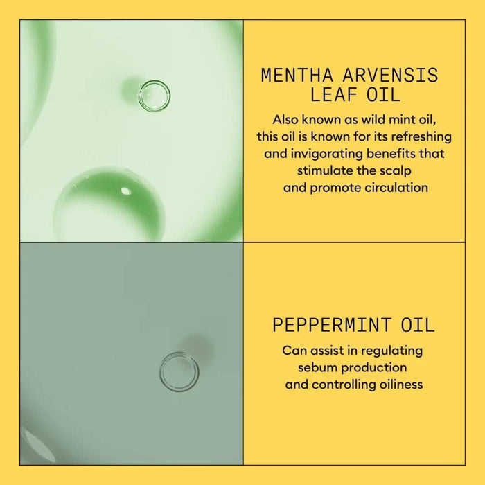 Nioxin System 1 Scalp + Hair Conditioner 1000ml