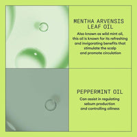 Nioxin System 2 Scalp + Hair Conditioner 1000ml