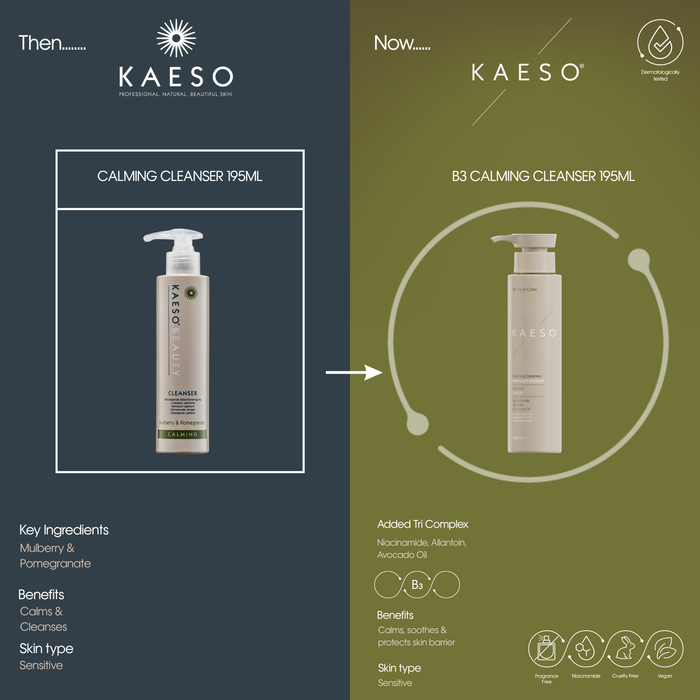 KAESO B3 Calming Cleanser 195ml