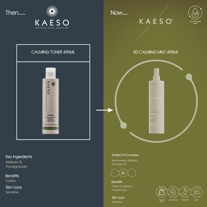 KAESO B3 Calming Toner Mist 495ml