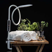 Native Lighting Lumina Desk Lamp