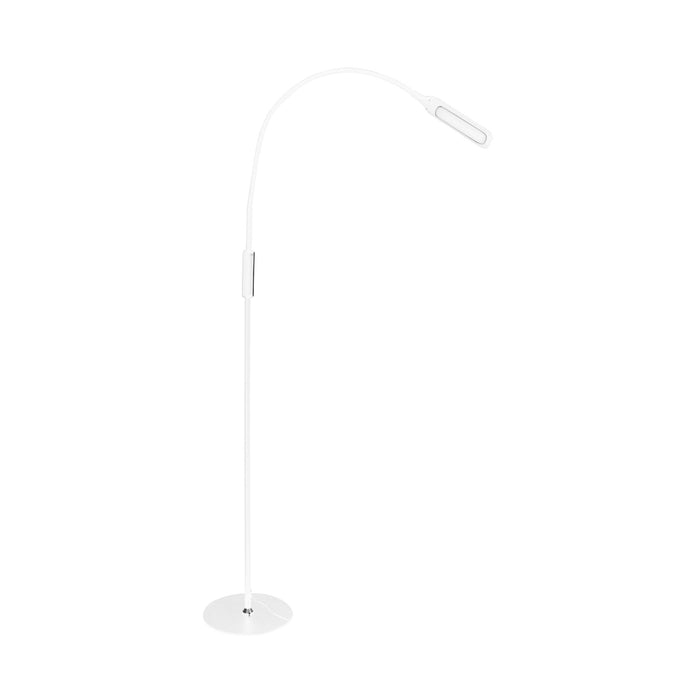 Native Lighting Lumina Floor Lamp