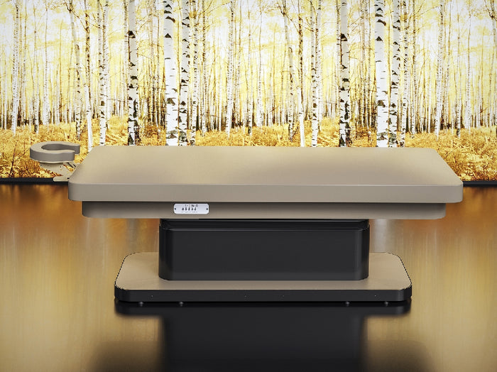 Pietranera Elysium Head Spa Bed