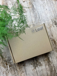 Leaf The Foundation Scissor Gift Box