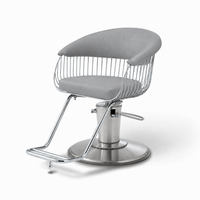 Takara Belmont Harp Styling Chair Light Grey - 7 Day Quick Ship