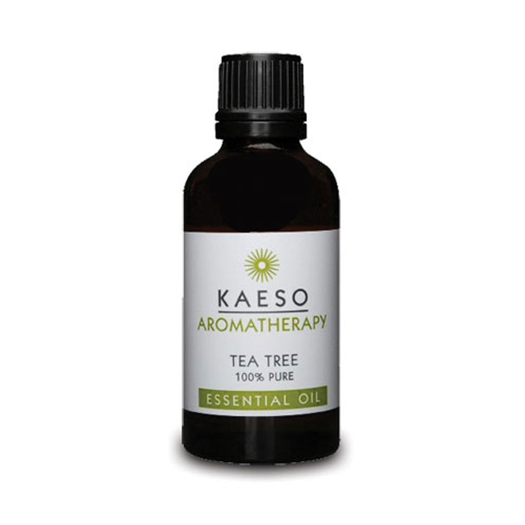 Kaeso Tea Tree Oil 50ml – Salon Supplies